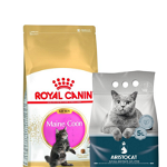 ROYAL CANIN Maine Coon Kitten hrana uscata pisica junior 10 kg + ARISTOCAT Nisip pentru litiera pisicilor, din bentonita 5 L GRATIS
