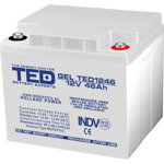 Acumulator AGM VRLA 12V 46A GEL Deep Cycle 197mm x 166mm x h 171mm M6 TED Battery Expert Holland TED003454