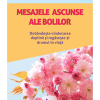 Cele mai iscusite povesti in versuri. Volumul 1, 