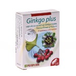 Ginkgo Plus 30cps Parapharm, 