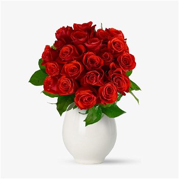 Buchet de 21 trandafiri rosii - Standard, Floria