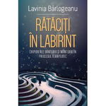 Rataciti in Labirint. Chipuri ale bantuirii si mantuirii in procesul terapeutic - Lavinia Barlogeanu