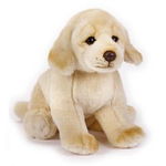 JUCARIE PLUS NATIONAL GEOGRAPHIC CATEL GOLDEN RETREIVER 26 cm V770685