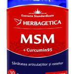 Supliment alimentar HERBAGETICA MSM+ Curcumin 95, 120 capsule