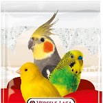 VERSELE-LAGA Prestige Shell Kristal Nisip igienic pentru papagali, Versele-Laga