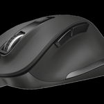 Mouse Trust Fyda 2400 DPI, negru