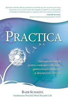 Practica. Instrumente simple pentru combaterea stresului, gasirea linistii interioare si descoperirea fericirii - Barb Schmidt, Adevar Divin