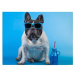 Tablou Caine Bulldog Francez cu Ochelari - Material produs:: Tablou canvas pe panza CU RAMA, Dimensiunea:: 70x100 cm, 