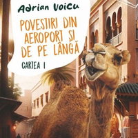 Povestiri din aeroport si de pe langa - Adrian Voicu, editia 2024