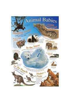 Animal Babies | , Autumn Publishing Ltd