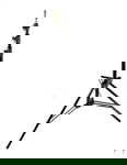 Manfrotto Ranker Stand 1005BAC