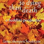 There's More to Dying Than Death: A Buddhist Perspective