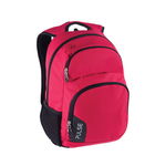 Rucsac Pulse Element Imperial Red, Pulse