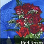 Oxford Bookworms Library: Starter Level:: Red Roses