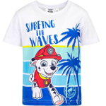 Tricou baieti, Surfing the Waves, albastru, Disney