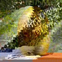 Opal verde structura forma libera m2, druzy.ro - Cristale, Home Deco