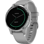 Ceas smartwatch Garmin Vivoactive 4S, Powder Gray Silver