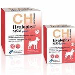 Hyalophyt MSM Giants - Supliment pentru articulatii - 120cpr., Chemical Iberica