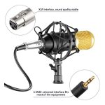 Microfon Profesional Inregistrare Vocala Si Karaoke, Gold Negru WG-500II