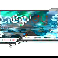 Televizor Allview QL43ePlay6100-U 43"