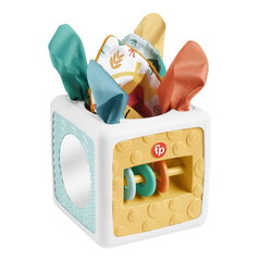 Jucarie bebelusi Fisher Price - Cub cu activitati, Fisher Price