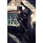 Poster Catwoman Spot Light