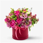 Cutie cu trandafiri si orhidee - Premium, Floria