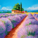 Puzzle Clementoni - Lavender Scent, 500 piese (35073), Clementoni