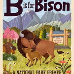 B is for Bison