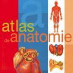 Atlas De Anatomie - Dr. Adolfo Cassan