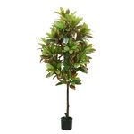 Planta artificiala, Croton cu ghiveci, D4251, 165cm, 