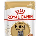 ROYAL CANIN FHN Plic pentru pisici British Shorthair 85g, Royal Canin