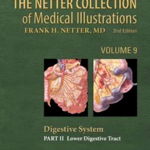The Netter Collection of Medical Illustrations: Digestive System: Part II - Lower Digestive Tract (Netter Green Book Collection)