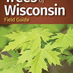 Trees of Wisconsin Field Guide