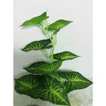 Decor pentru acvariu Enjoy Planta plastic 15cm 15302, Enjoy