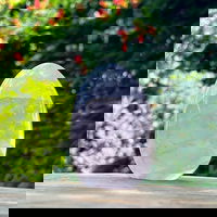 Cuart roz forma libera m2, druzy.ro - Cristale, Home Deco