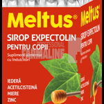 Meltus Expectolin sirop pentru copii 100 ml, Solacium Pharma