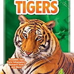 Tigers, Hardback - Emma Huddleston