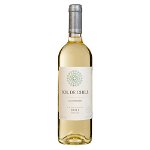 Vin alb Sol De Chile Sauvignon Blanc, Sec 0.75L