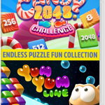 Endless Puzzle Fun Collection NSW