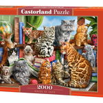 Puzzle 2000 piese Casa cu Pisici 200726