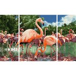 Kit pictura cu numere - Triptic - Flamingos, 50x80 cm