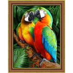 Tablou cu diamante - Papagali Macaw în junglă (30 x 40 cm)