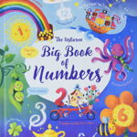 Big Book of Numbers