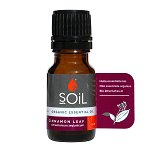 Ulei esential de scortisoara BIO Soil - 10 ml, Soil
