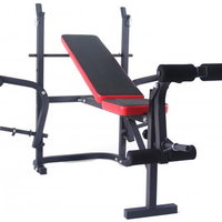 Banca multifunctionala pliabila FitTronic B300