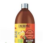 Nectar de catina cu ghimbir Bio Energyne, 250 ml, Biocatina