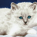 Tablou cu diamante - Pisica alba 32 x 40 cm, Jucaresti
