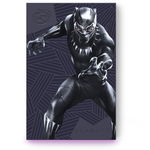 FireCuda Gaming Black Panther Special Edition 2TB USB 3.0 Black, Seagate