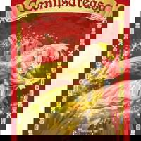 Carte de povesti ilustrata engros. Cenusereasa,